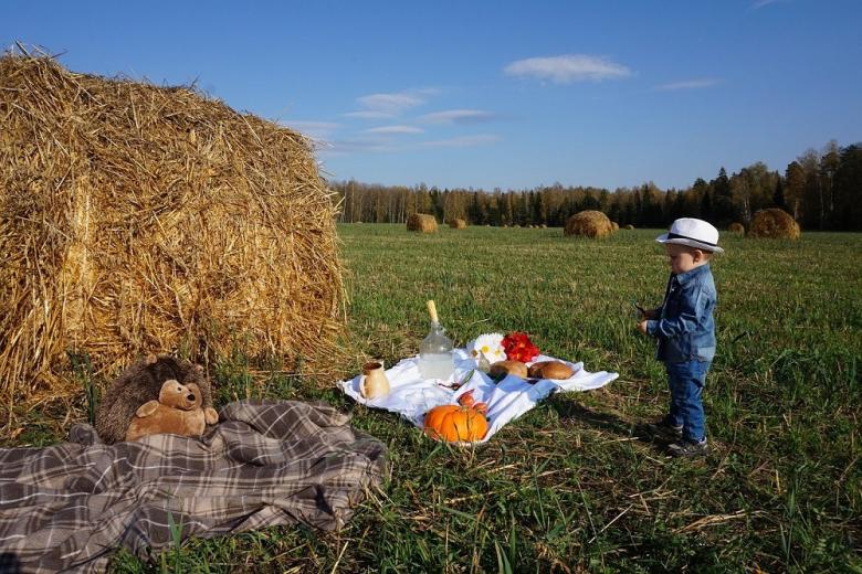 Фермерам РФ разрешат размещать туристов в гостевых домах